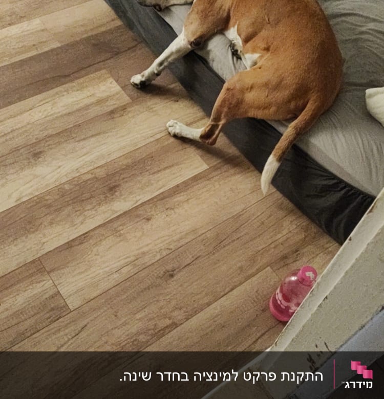 רצפת פרקט עץ בהירה בחדר שינה